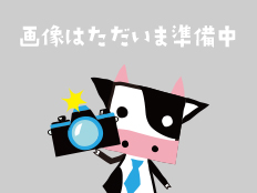 ダミー